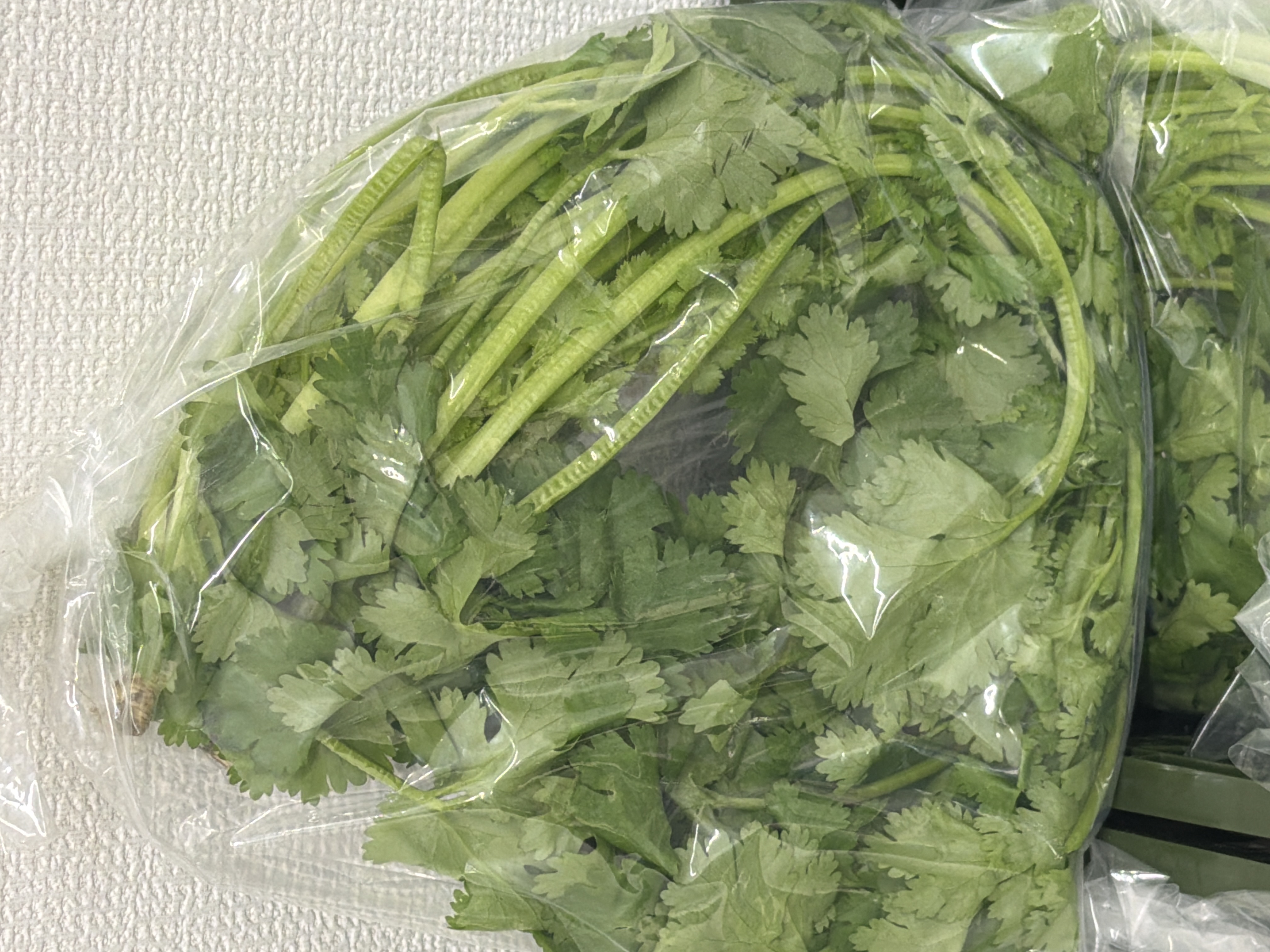 နံနံပင် 100g