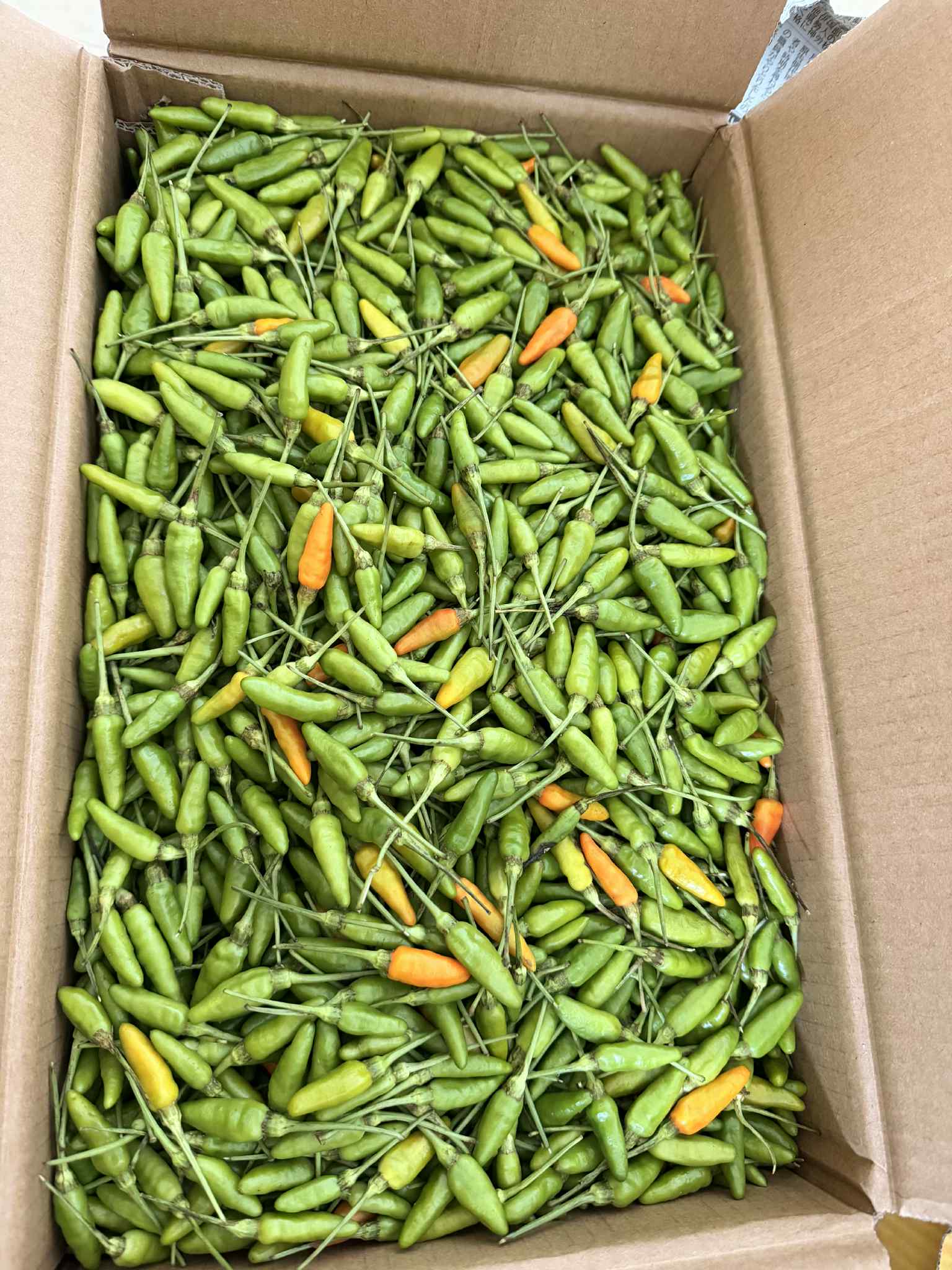 မိုးမျှော်ငရုပ်သီး 100g